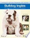 Bulldog Ingles/ Bulldog