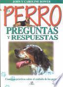 El Perro. Preguntas Y Respuestas