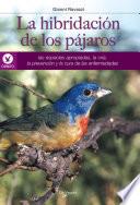 La Hibridación De Los Pájaros