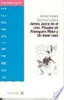 libro James Joyce En El Cine. Pasajes De Finnegans Wake Y Un Triste Caso