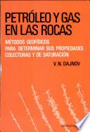 libro Petróleo Y Gas En Las Rocas