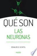 Qué Son Las Neuronas