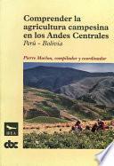 Comprender La Agricultura Campesina En Los Andes Centrales