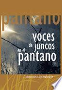 Voces De Juncos En El Pantano