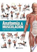 AnatomÍa & MusculaciÓn