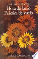 libro Hora De Junio ; Y, Práctica De Vuelo