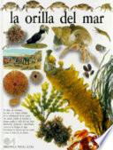 libro La Orilla Del Mar