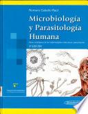 Microbiologia Y Parasitologia Humana / Microbiology And Human Parasitology