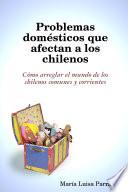 Problemas Domésticos Que Afectan A Los Chilenos