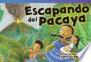 Escapando Del Pacaya (escape From Pacaya)