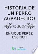 Historia De Un Perro Agradecido