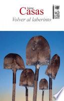 Volver Al Laberinto