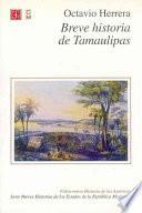 Breve Historia De Tamaulipas