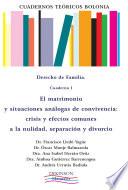 libro Cuadernos Teóricos Bolonia. Derecho De Familia. Cuaderno I. El Matrimonio Y Situaciones Análogas De Convivencia. Crisis Y Efectos Comunes A La Nulidad, Separación Y Divorcio