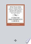 libro Curso De Procedimiento Laboral