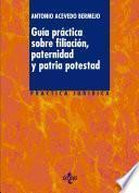 Guía Práctica Sobre Filiación, Paternidad Y Patria Potestad