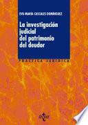 La Investigación Judicial Del Patrimonio Del Deudor