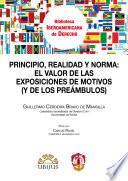 libro Principio, Realidad Y Norma: El Valor De Las Exposiciones De Motivos