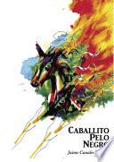 libro Caballito Pelo Negro