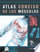 Atlas Conciso De Los MÚsculos (color)