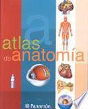 Atlas De Anatomía