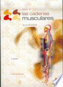 Cadenas Musculares, Las (tomo Iii).la Pubalgia