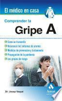 Comprender La Gripe A