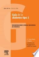 Guia De La Diabetes Tipo 2