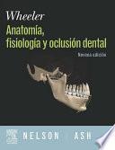 Wheeler, Anatomía, Fisiología Y Oclusión Dental