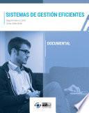 libro Sistemas De Gestión Eficientes