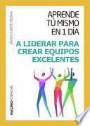 libro Aprende Tú Mismo En Un Día A Liderar Para Crear Equipos Excelentes