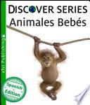 Animales Bebés