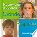 libro Big Small