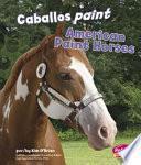 Caballos Paint/american Paint Horses