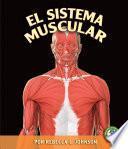 El Sistema Muscular