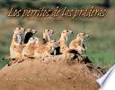 Los Perritos De Las Praderas / Prairie Dogs