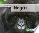 libro Negro