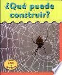 libro Qué Puede Construir?