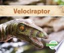 Velociraptor