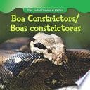 Boa Constrictor / Boa Constrictora