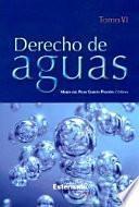 Derecho De Aguas. Tomo Vi