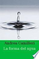 La Forma Del Agua