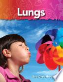 Los Pulmones (lungs)