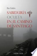 Sabiduría Oculta En El Camino De Santiago