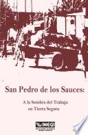 San Pedro De Los Sauces. A La Sombra Del Trabajo En Tierra Segura