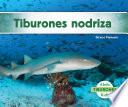 Tiburones Nodriza (nurse Sharks)