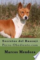 Secretos Del Basenji