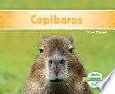 Capibaras/ Capybaras