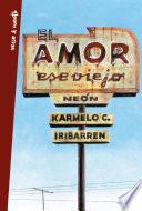 libro El Amor, Ese Viejo Neón