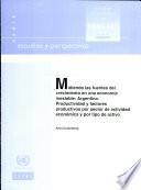 libro Midiendo Las Fuentes Del Crecimiento En Una Economía Inestable